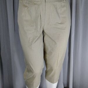 Talbot's Crop pant - Women's Petite